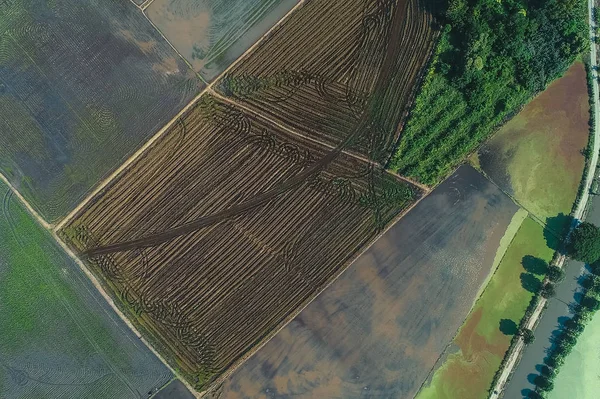 Widok Góry Przygotować Ziemię Dla Zdjęcie Plantacji Ryżu Przez Drone — Zdjęcie stockowe