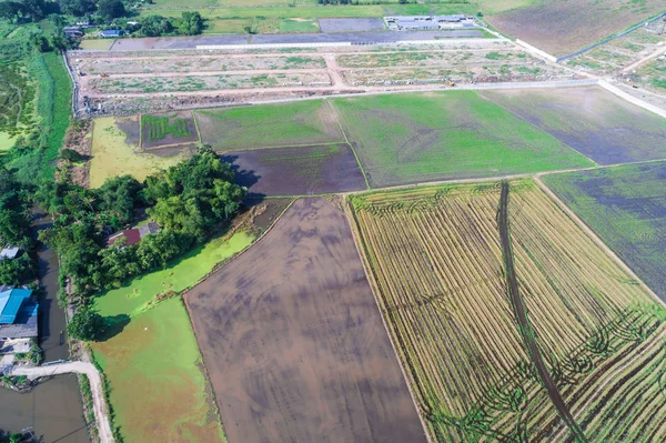 Üstten Görünüm hazırlamak arazi pirinç ekimi fotoğraf için dron tarafından