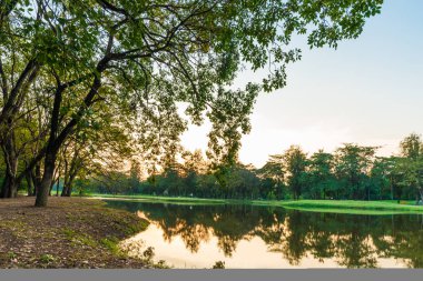 Şehir Parkı yeşil ağaç yapraklar göl günbatımı manzarasıyla