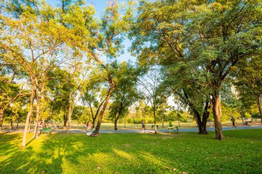 Merkezi yeşil park yaz sahne, Doğa park peyzaj
