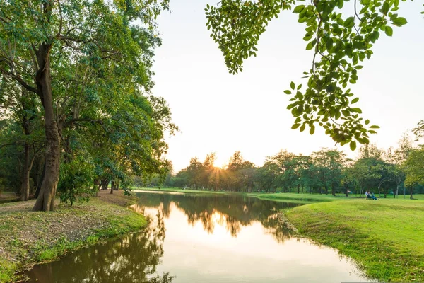 Zelené Listoví Město Veřejný Park Rybníkem Západ Slunce Scéna — Stock fotografie