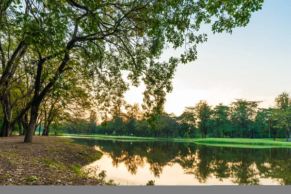 Şehir Parkı yeşil ağaç yapraklar göl günbatımı manzarasıyla