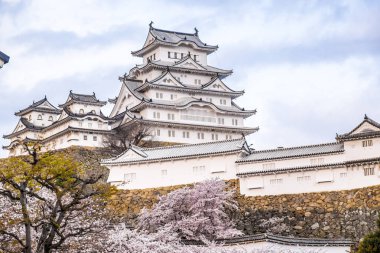Himeji Kalesi ile tam kiraz çiçeği Japonya'nın Premier tarihi, Hyogo, Japonya