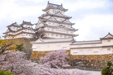Himeji Kalesi ile tam kiraz çiçeği Japonya'nın Premier tarihi, Hyogo, Japonya