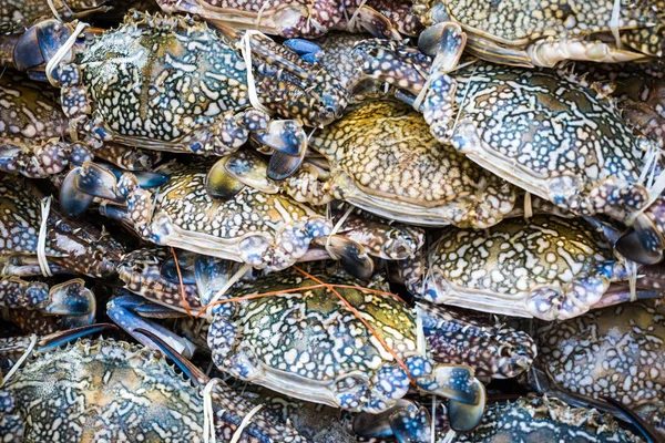 Frische Krabben Auf Dem Fischmarkt Meeresfrüchte — Stockfoto