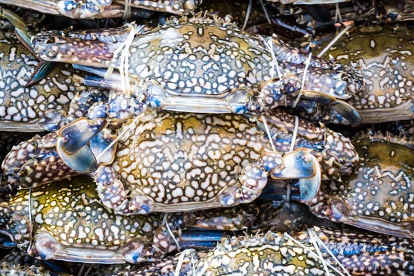 Crabi Proaspeți Piața Pescuitului Fructe Mare — Fotografie, imagine de stoc
