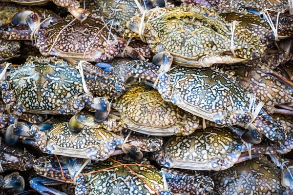 Frische Krabben Auf Dem Fischmarkt Meeresfrüchte — Stockfoto