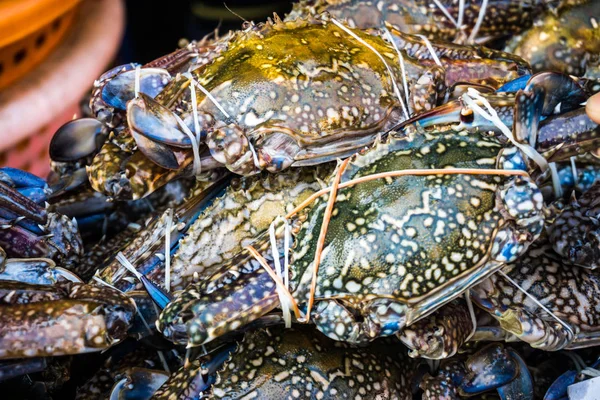 Caranguejos Frescos Mercado Pesca Frutos Mar — Fotografia de Stock