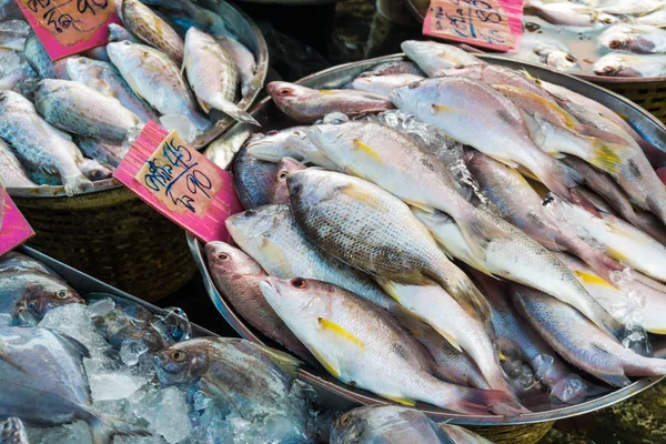 Свіжа Багато Морської Риби Крупним Планом Ринку Морепродукти Промисловість — стокове фото