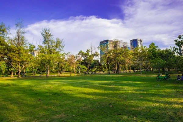 Parque con rascacielos en la ciudad verde — Foto de Stock