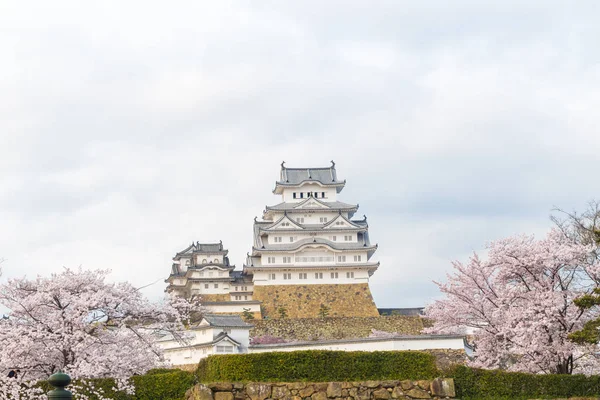 Sakura bloomming çiçeği, Hyogo Japonya ile Himeji Kalesi
