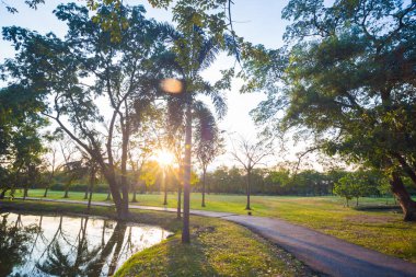 Gün batımı yeşil park ağaç ve çayır