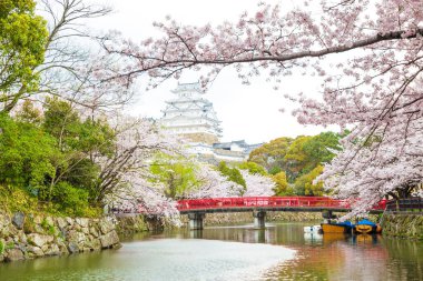 Sakura kış sezonu bir kültür Japonya'nın en iyi gezi Himeji Kalesi