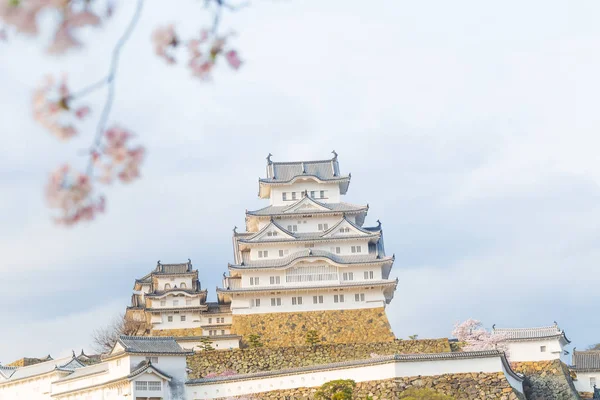 Sakura bloomming çiçeği, Hyogo Japonya ile Himeji Kalesi