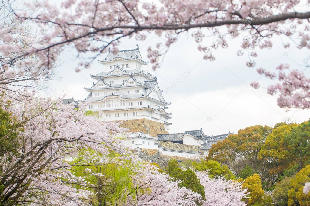 Himeji castle in sakura winter season one of the best sightseeing in culture of Japan