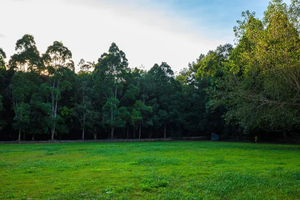 公园自然风光中的园林绿草甸 — 图库照片