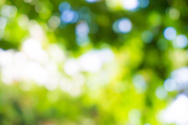 Mevsimlik bokeh yaz yeşil yaprak arka plan, doğa kavramı