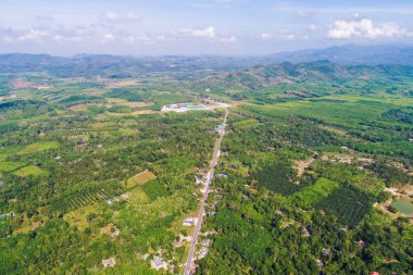 Yeşil orman tarım ekimi ile kırsal yolu havadan görünümü