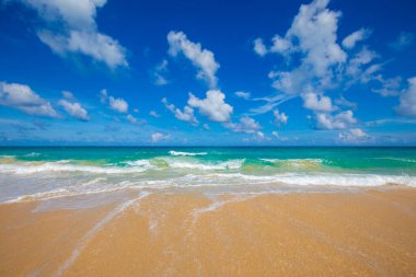 Deniz dalgası yaz tatili geçmişi