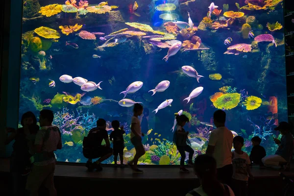 Silhouette group of people with family in front of aquarium tank — Stock Photo, Image