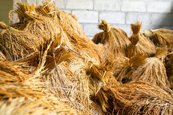 Riso Paddy tenere nel fienile tradizionale — Foto Stock