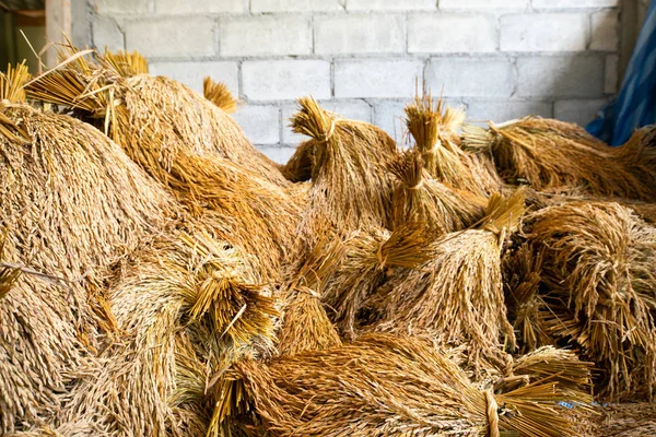 Riso Paddy tenere nel fienile tradizionale — Foto Stock