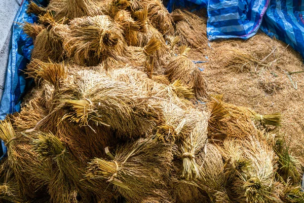 Paddy rýže držet v tradiční stodole — Stock fotografie