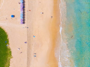 Yeşil ağaçlı Phuket Tayland 'lı deniz manzaralı plaj.