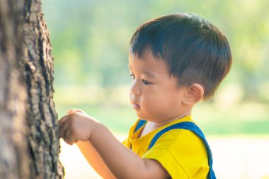 Ağaç parkında oynayan sevimli Asyalı çocuk güneş doğarken doğa keşfetmeyi öğreniyor.