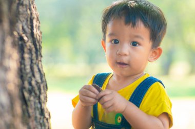 Ağaç parkında oynayan sevimli Asyalı çocuk güneş doğarken doğa keşfetmeyi öğreniyor.