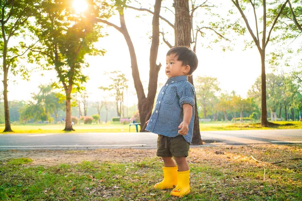 Küçük Asyalı Çocuk Parkın Gün Batımında Yeşil Çimlerde Yürümeyi Dene — Stok fotoğraf