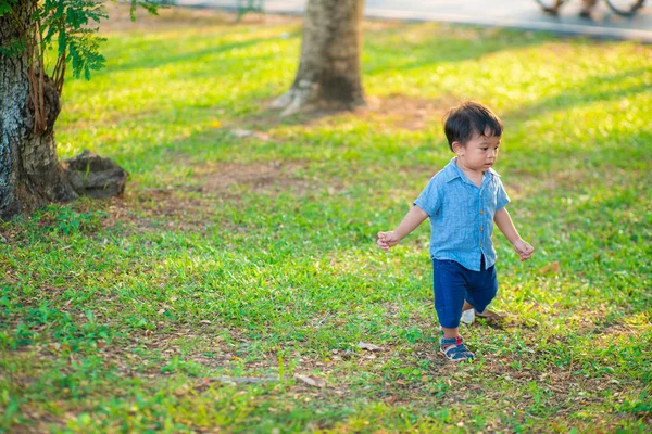 Чарівний Маленький Хлопчик Гуляє Зеленій Траві Міський Парк Захід Сонця — стокове фото