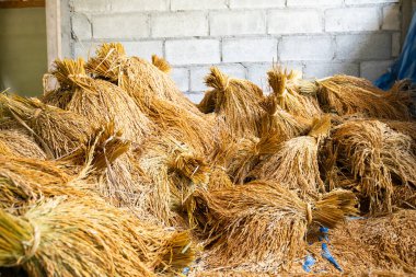 Paddy pirinç hasadı sonrası pirinç evi, tarım endüstrisi