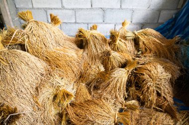 Paddy pirinç hasadı sonrası pirinç evi, tarım endüstrisi