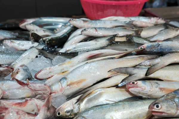 Bir Grup Deniz Balığı Geleneksel Pazarda Deniz Ürünlerinde Satılıyor — Stok fotoğraf