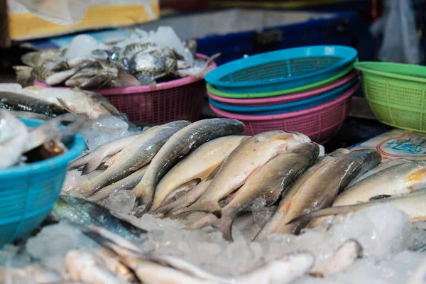 Grupo Peixe Mar Variouse Vender Mercado Tradicional Frutos Mar — Fotografia de Stock