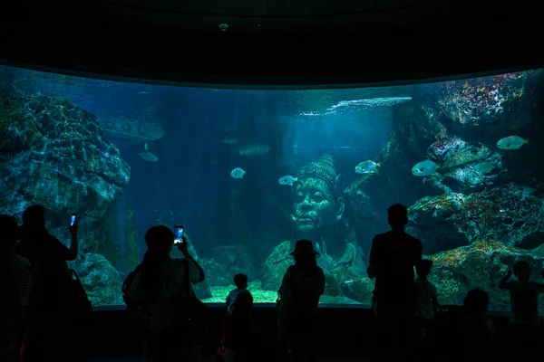 Silhouet Groep Mensen Met Familie Voor Aquarium Tank Genieten Van — Stockfoto