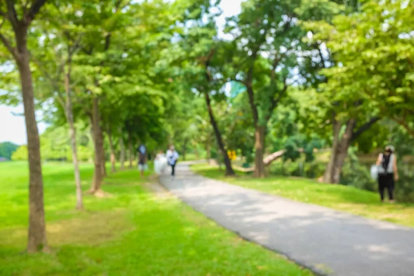 Parque Público Ciudad Verde Con Sendero Para Caminar Vida Urbana —  Fotos de Stock