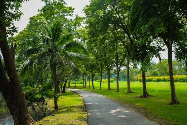 Parque Público Ciudad Verde Con Sendero Para Caminar Vida Urbana —  Fotos de Stock