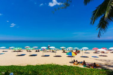 Beyaz kum plajı üzerinde şemsiyesi olan renkli plaj sandalyesi.