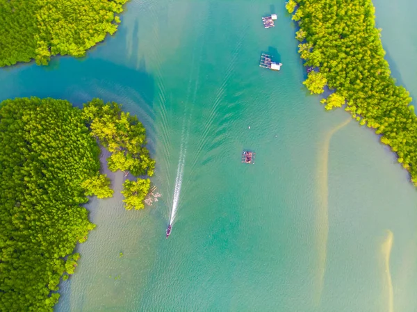 Aerial view green tropical mangrove forest with boat pathway, Phangnga Thailand