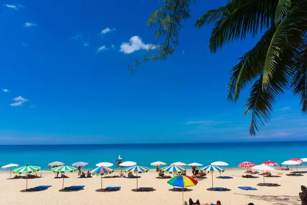 Beyaz kum plajı üzerinde şemsiyesi olan renkli plaj sandalyesi.