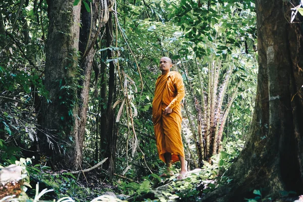 Buddhisg monk make meditation in deep forest religion concept