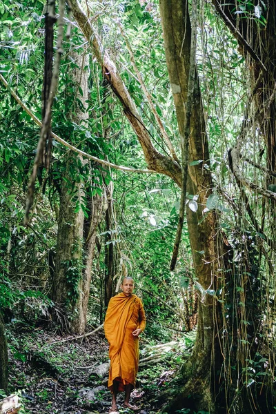 Buddhisg monk make meditation in deep forest religion concept