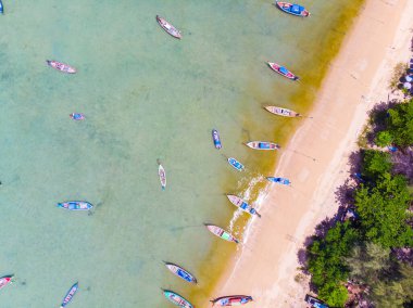 Hindistan cevizi palmiyesi gökyüzü manzaralı deniz mavisi su, Phuket Tayland
