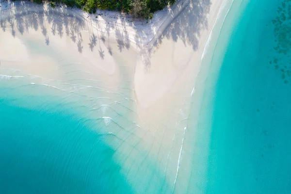 Havadan Manzara Egzotik Deniz Kıyısı Beyaz Kum Kumsalı Yeşil Palmiye — Stok fotoğraf