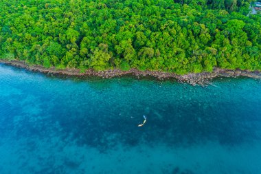 Tropikal yağmur ormanı sahili. Palmiye ağaçlarından yapılmış dağ manzaralı.