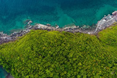 Tropikal yağmur ormanı sahili. Palmiye ağaçlarından yapılmış dağ manzaralı.