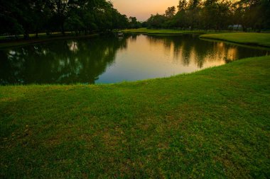 Park göleti gün batımı klorlu gökyüzü silueti ağaç ormanı doğa manzarası