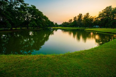 Park göleti gün batımı klorlu gökyüzü silueti ağaç ormanı doğa manzarası